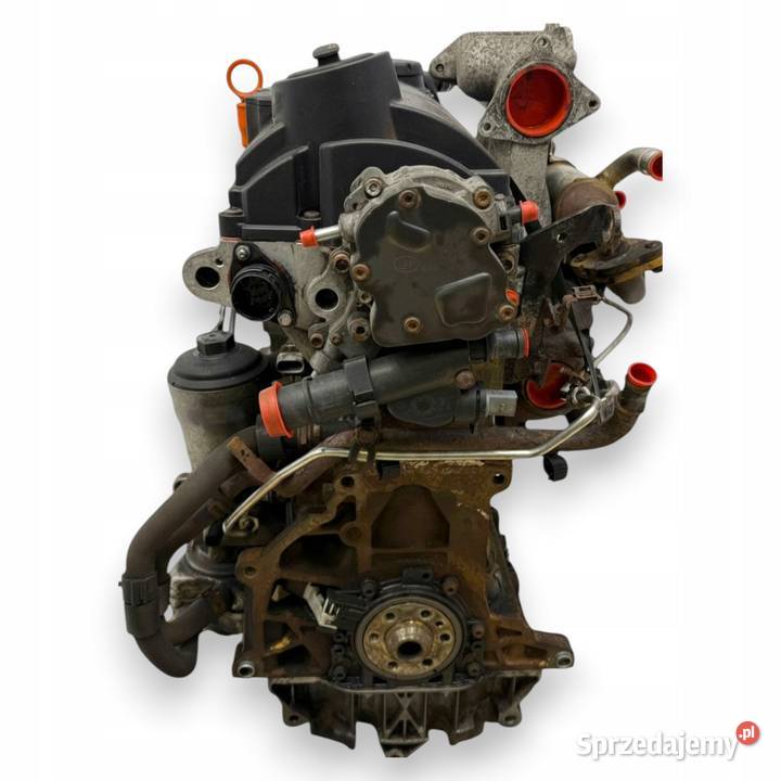 SILNIK BSU VW Caddy III 19 TDI 75 diesel