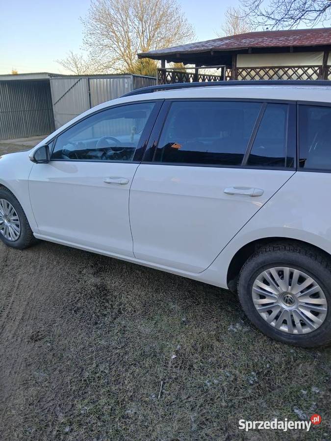 Volkswagen Golf VII Kombi 16 TDI Zagrodno