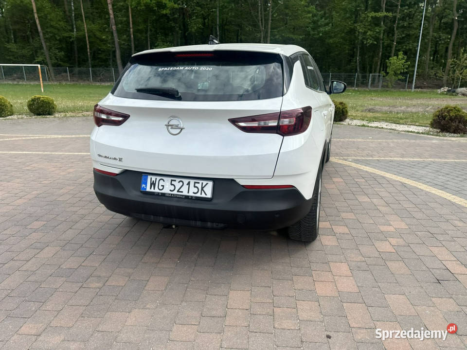 Opel Grandland X Lipówki