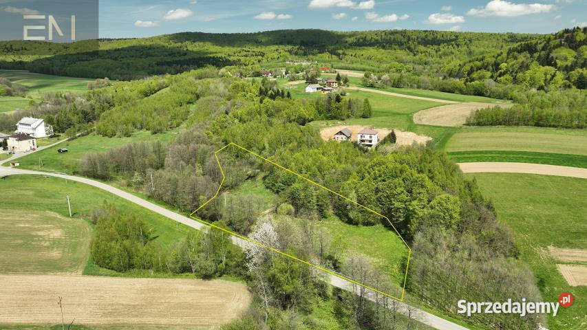 sprzedaży działki Huta Gogołowska 5100m2 podkarpackie sprzedam