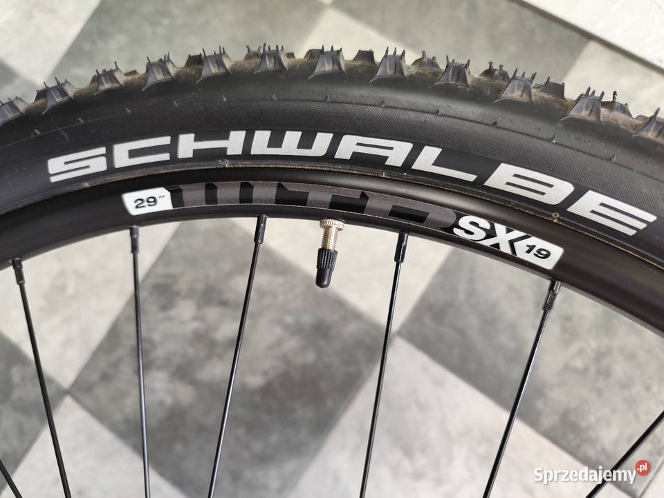 Rower Cannondale Trail 5 Lachowice