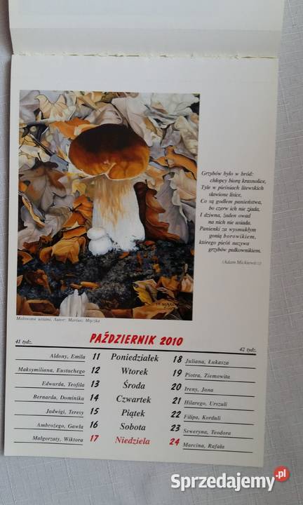 Kalendarz artystyczny wydawnictwa AMUN na 2010 Rok wydania 2009 Łódź sprzedam