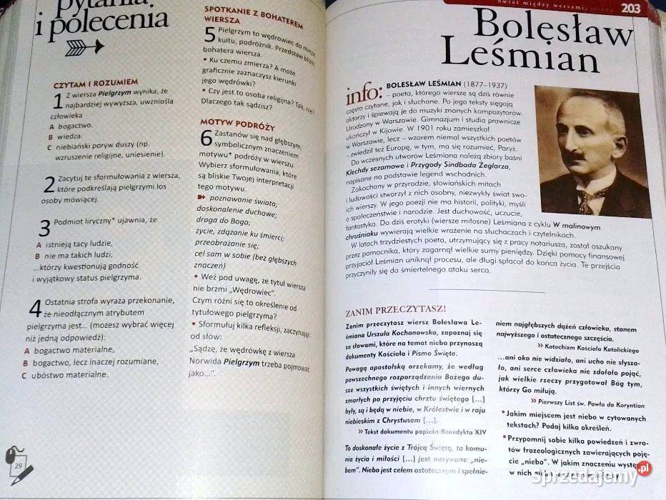Język polski Świat w słowach i obrazach kl 2 miękka Chełm