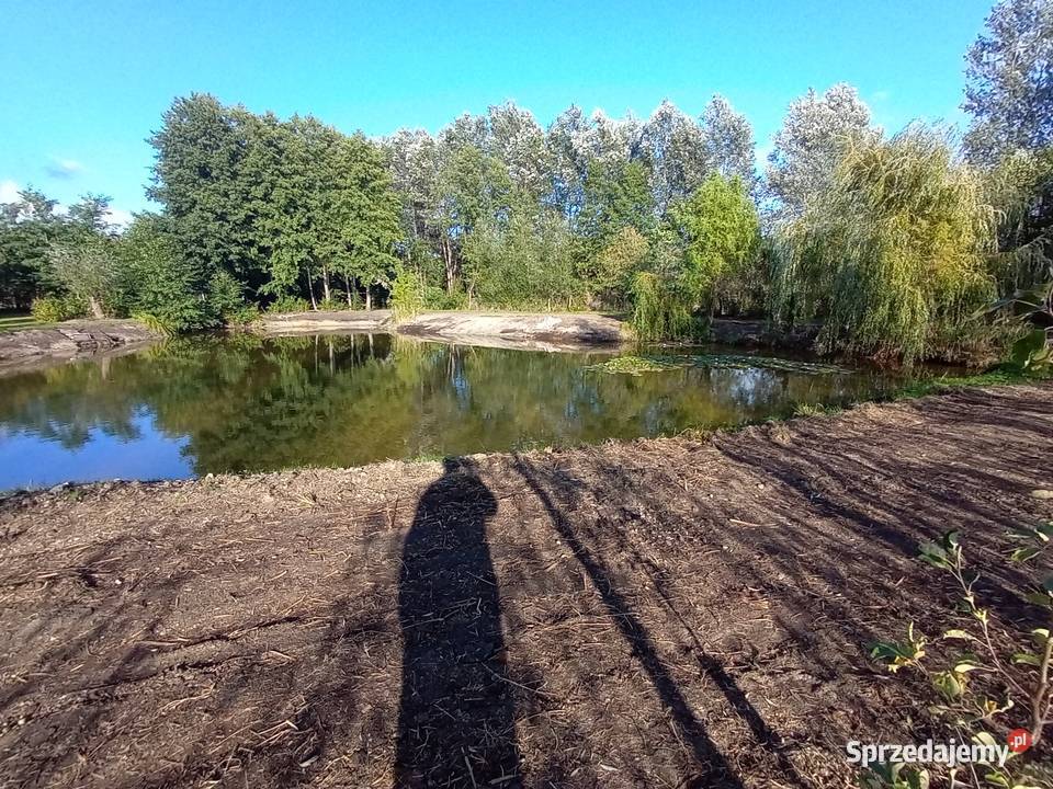 Działka Sulechów