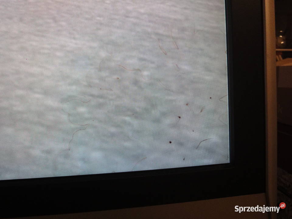 tv panasonic 32 calebez pilota i stopki małopolskie