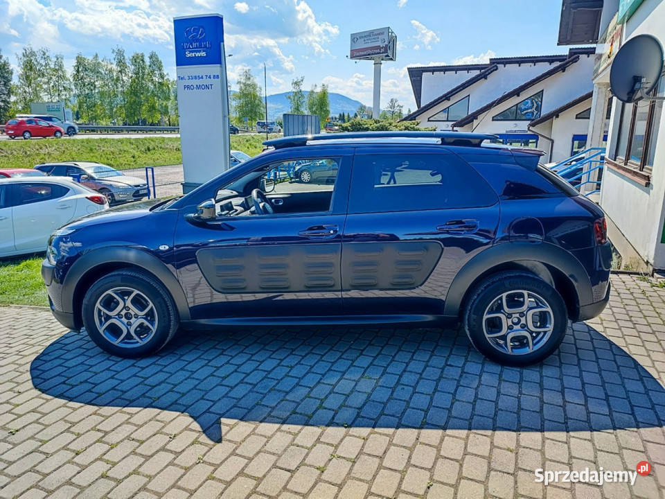 Citroen C4 Cactus Oryginalny lakier Książka system Start-Stop