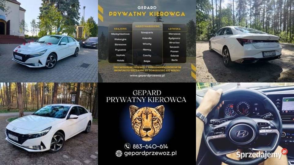 Prywatne przewozy samochodem osobowym Polska Piła
