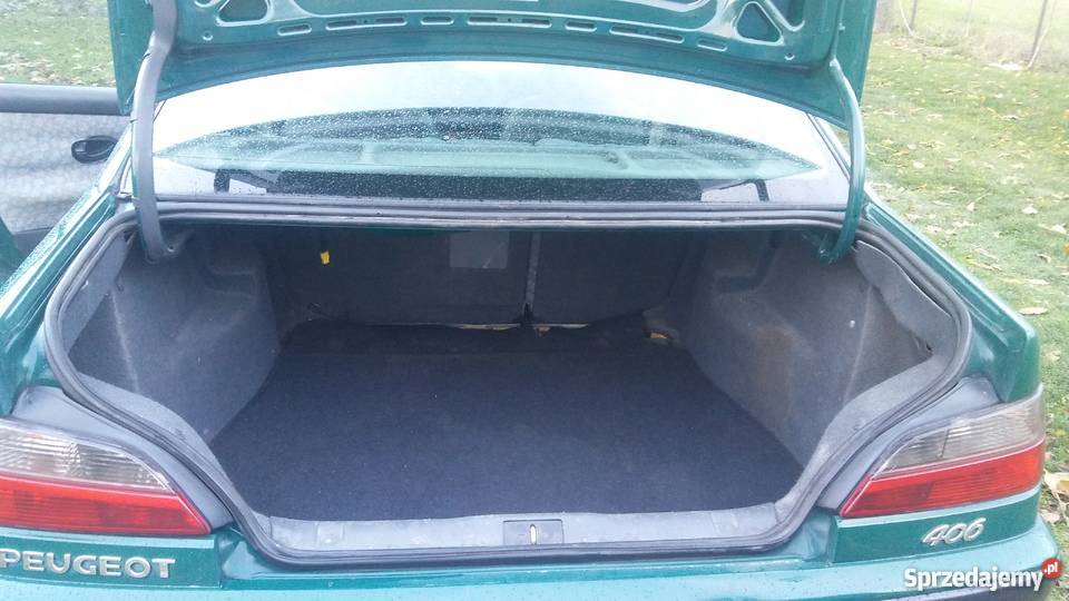 Peugeot 406 centralny zamek Waśniów