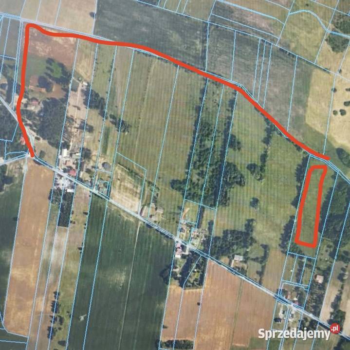 Działka 225 ha Olszowiec gm Brochów woj