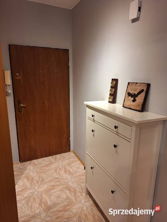 Wrocław WYSOKA mieszkanie 2p do wynajęcia BEZ Piętro 1 Nieruchomości sprzedam