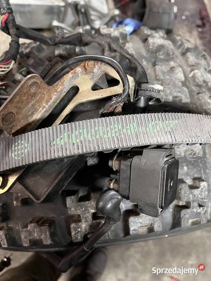 Pas napędowy HD Lipa