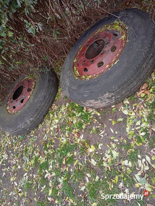 Koła przyczepy d50 podkarpackie Gać