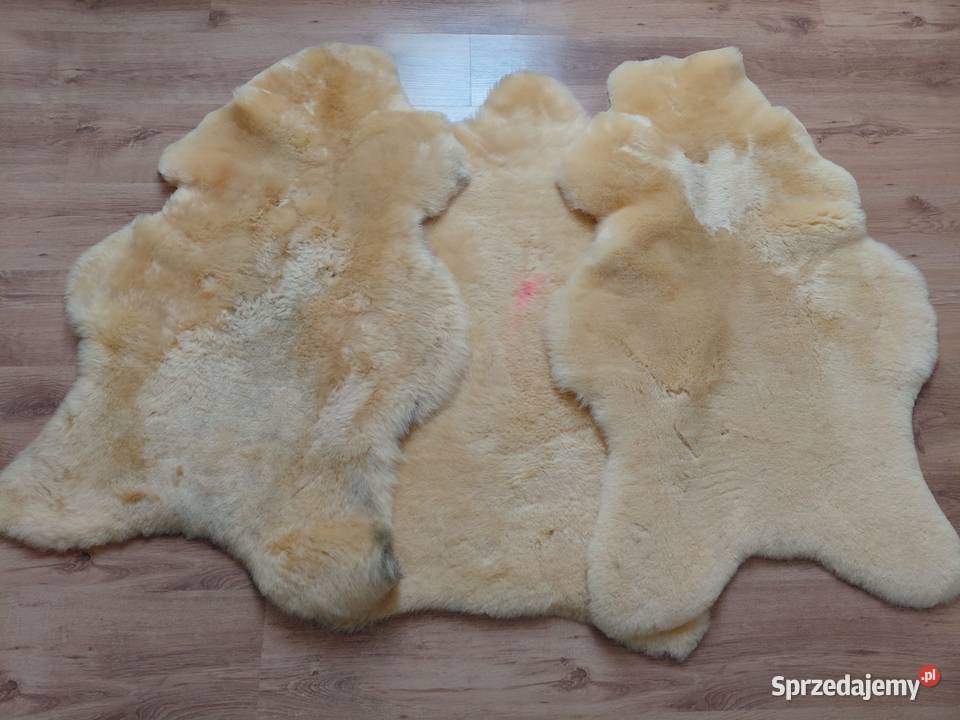 Skóra Owcza Naturalna Relugan 2 klasa TANIO Skóry Szaflary
