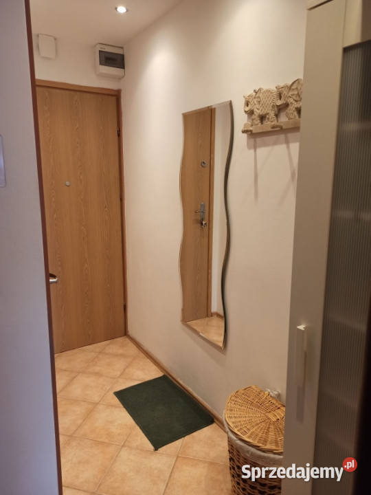 wynajme mieszkanie Kraków Radzikowskiego 41m2 małopolskie