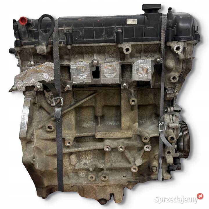 SILNIK QQDB Ford Focus II MK2 C C 18 16V 125 osobowe Chełm