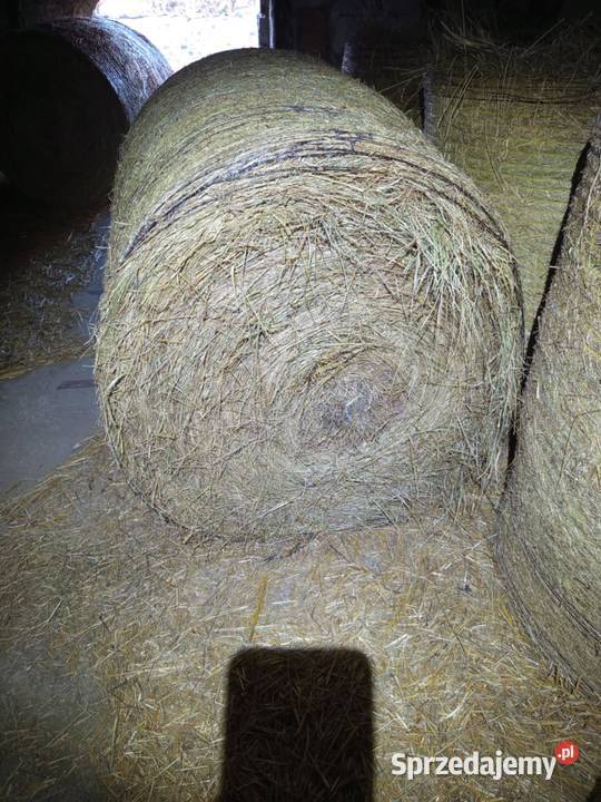 Siano sianokiszonka Trawy, słoma mazowieckie Ostrów Mazowiecka