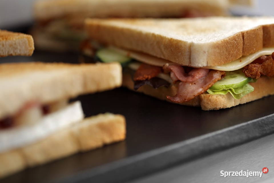 Grill kontaktowy panini gładkoryflowany z sprzedam