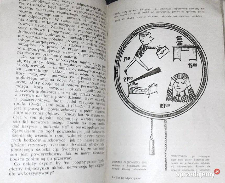 Ucz się odpoczywać Arwid Hansen Chełm