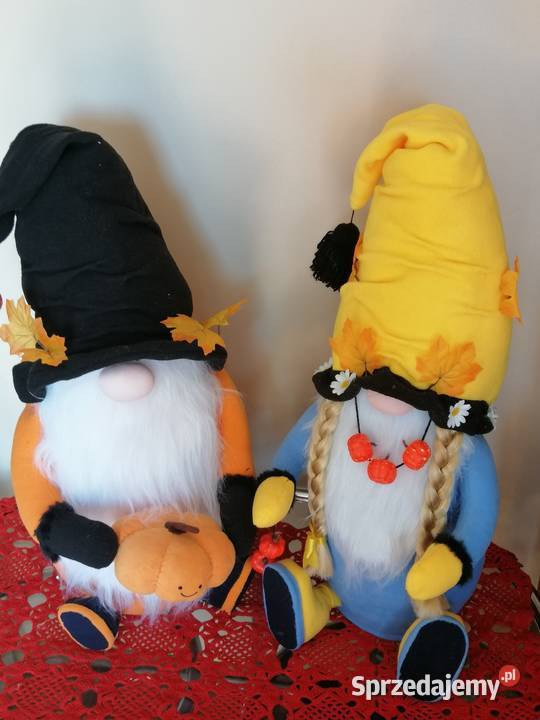 Para skrzatów siedzących jesienno zimowych Katowice