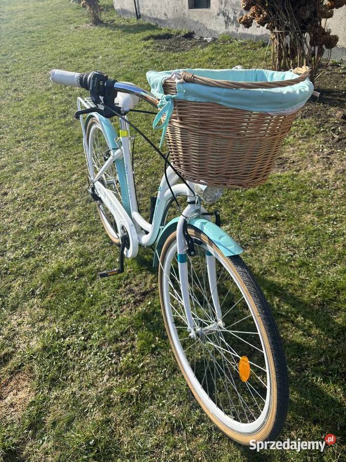 Rower damka z koszykiem
