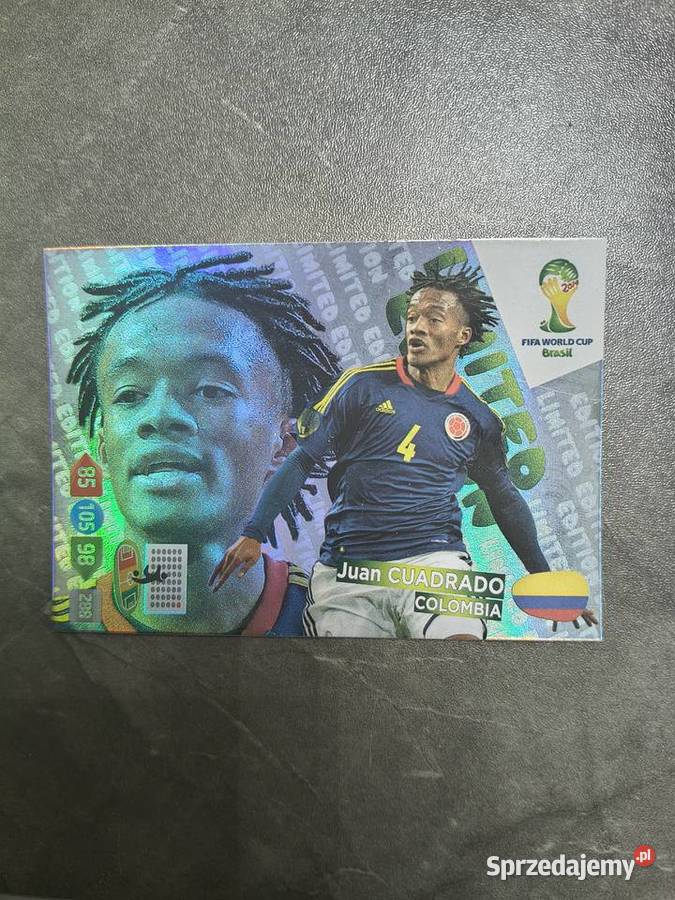PANINI FIFA WORLD CUP BRASIL 2014 Kraków