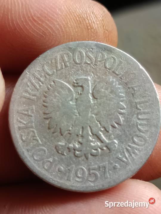 Sprzedam monete 50 gr 1957 r xx Antyki, Sztuka, Kolekcje Chełm