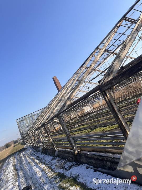 Szklarnie Rozbiórka Demontaż Utylizacja Wywóz Mykanów