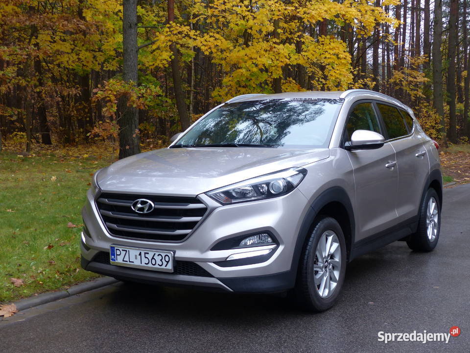 Hyundai Tucson wielkopolskie Złotów