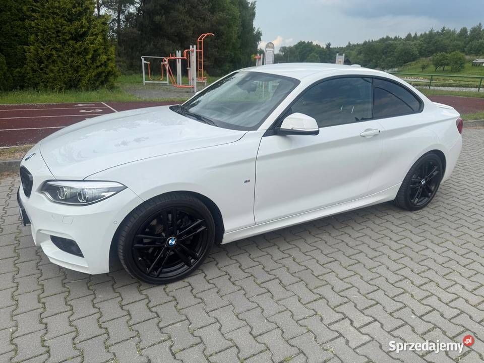 BMW 220i COUPE Salon MPakiet Super Stan regulowane zawieszenie