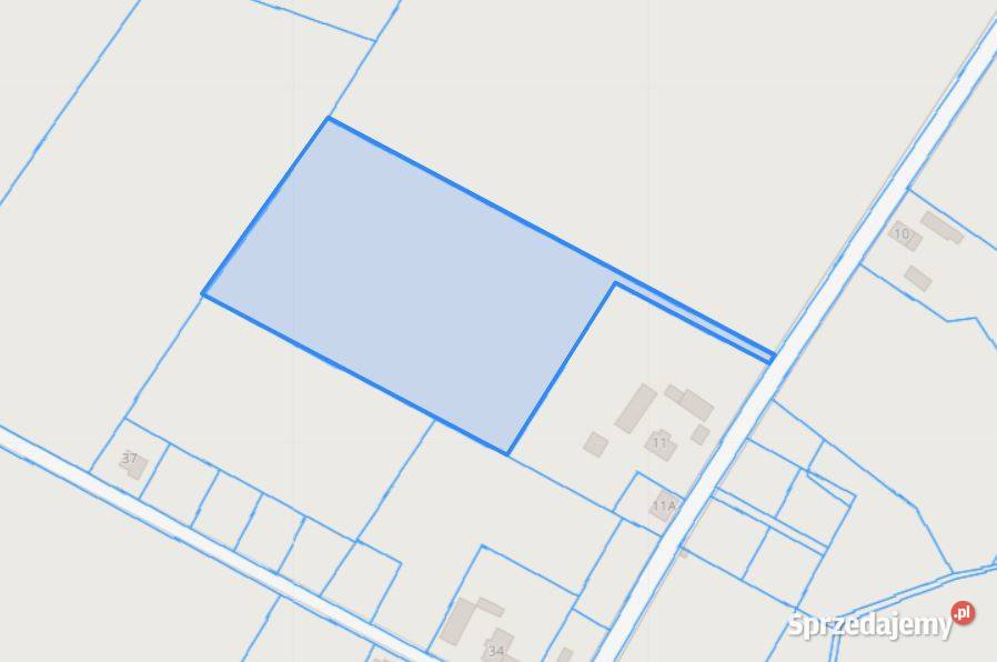 Syndyk sprzeda działkę Laskownica Wielka