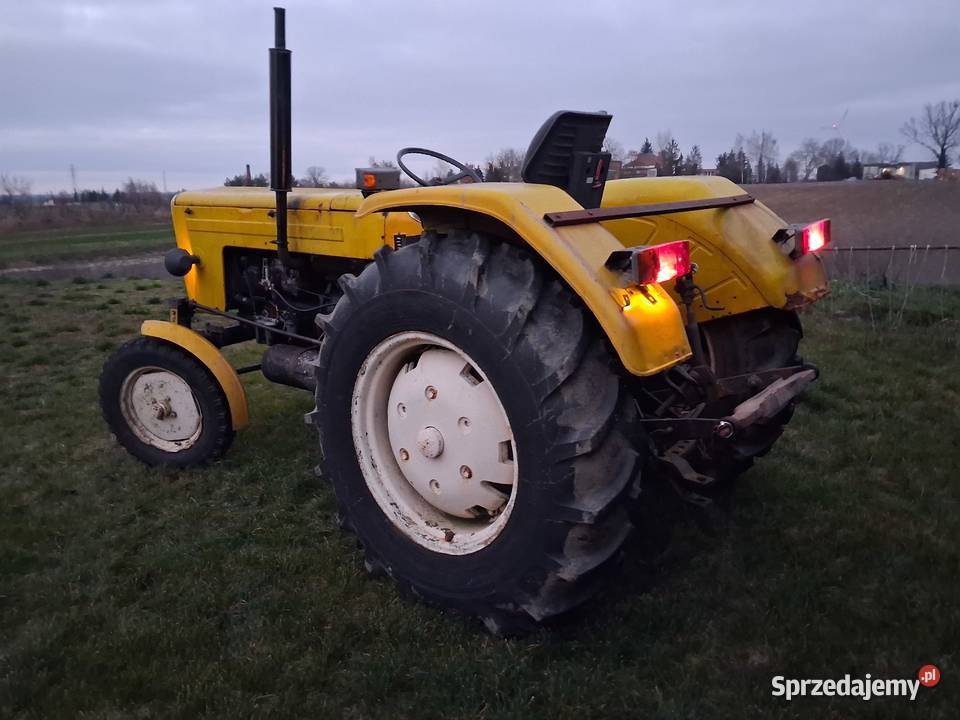 Ursus Orginał kujawsko-pomorskie Lisewo