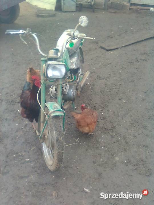 Karpaty 50 Gawłuszowice