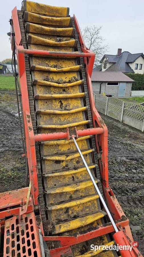 Grimme GZ1700 DL1 zbieracz kopaczka nieuszkodzony wielkopolskie Trzebisławki