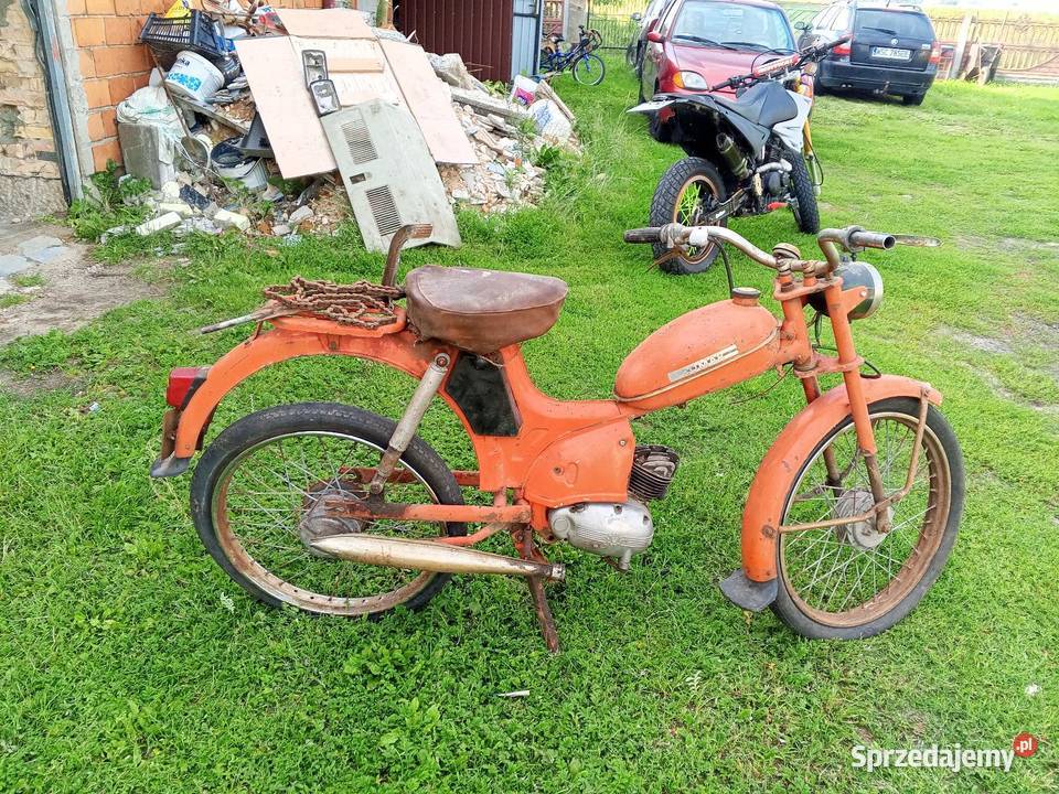 Komar Wszeliwy