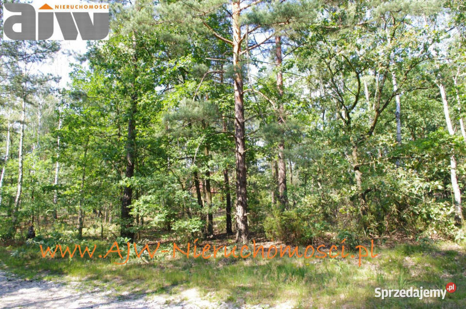 Działka 2210m2 Izabelin B gm Izabelin sprzedam