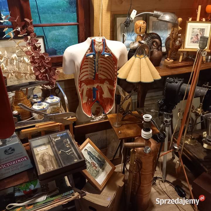 Osobliwości antyki starocie marynistyka Warszawa