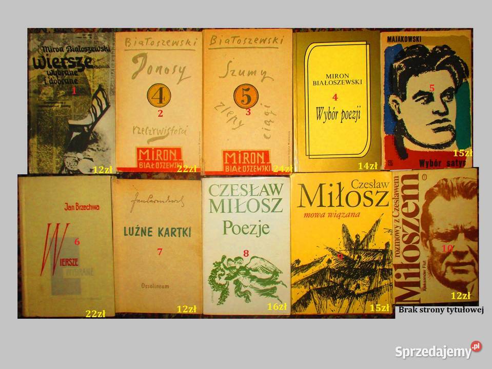 Gombrowicz Dziennik19531956 19611969literatura Łódź