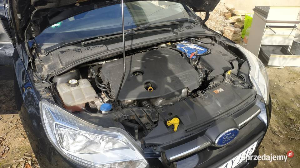 Ford Focus MK3 16 TDCI 115 nieuszkodzony