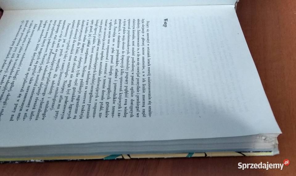 Gniazda naszych ptaków PTAKI Jerzy Gotzman przyroda Gdańsk