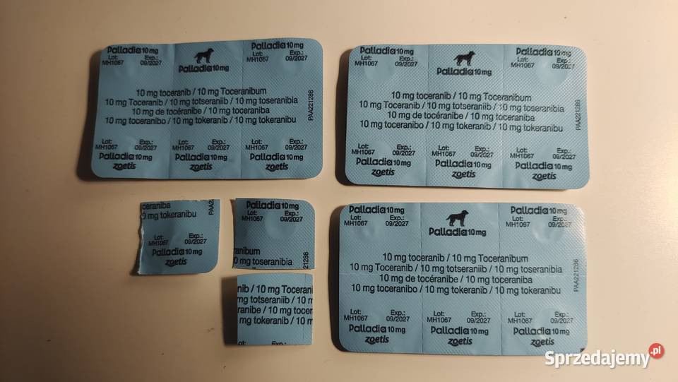 Palladia 10 mg Warszawa