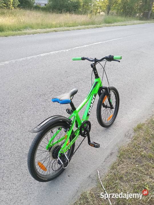 rower dziecięcy Giant XTC JR na kołach 20 Chełm