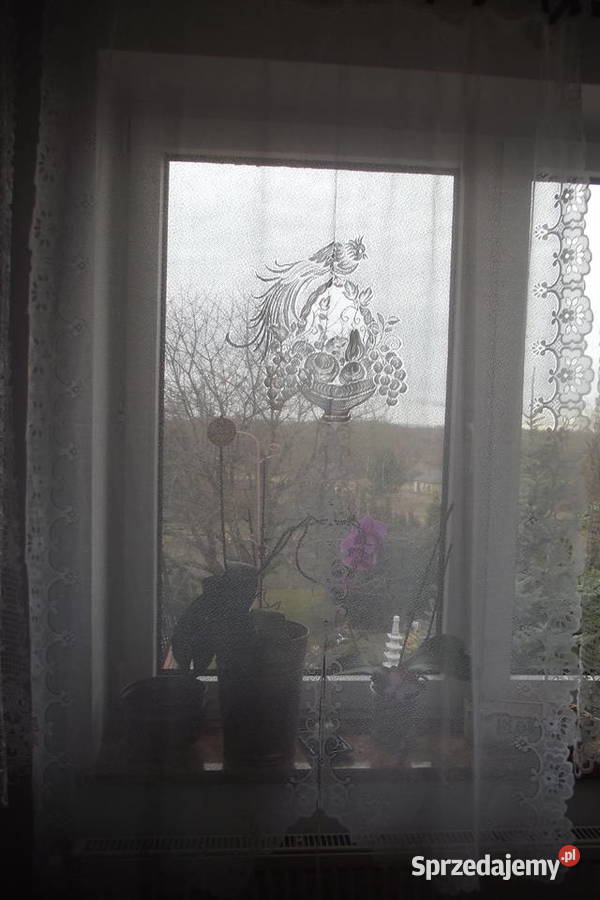 Mała firanka żakard papuga szer123 wys162 Piekary Śląskie