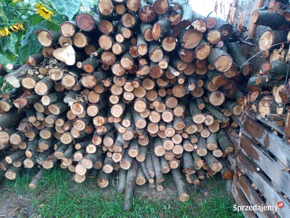 Drewno grab dąb rozpalkowe Tyszowce