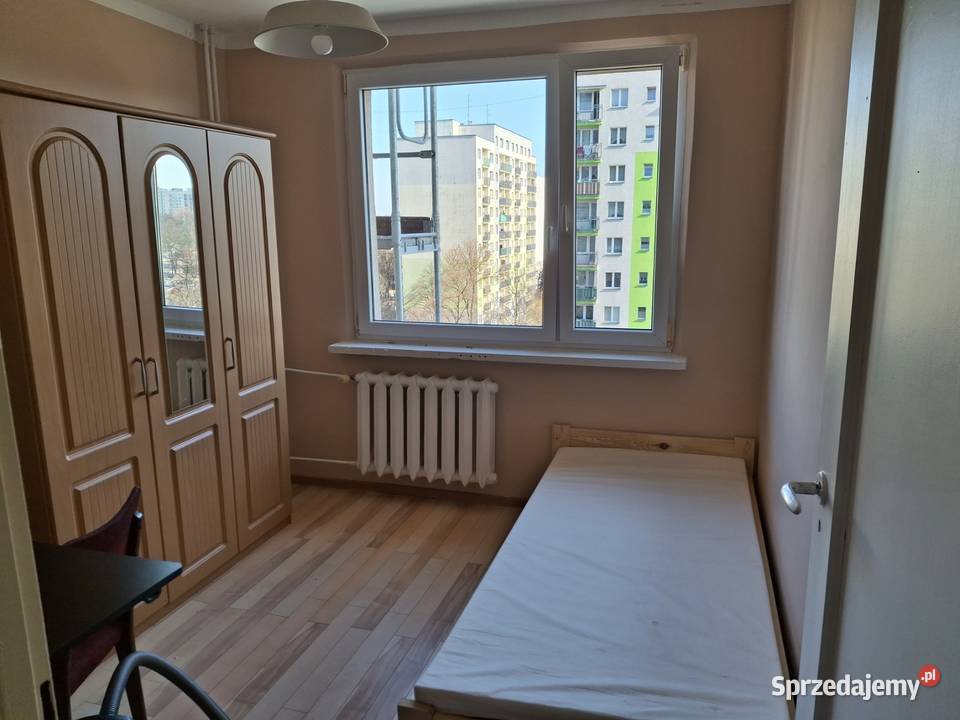 Pokój do wynajęcia Sosnowiec