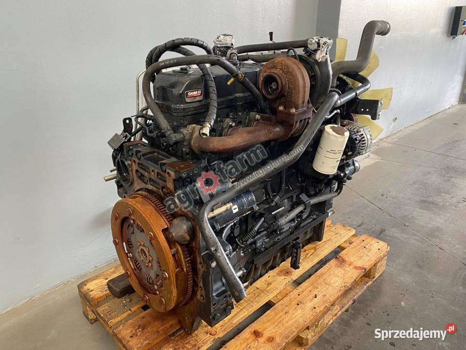 Silnik Case Puma 130 145 FPT F4DFE613C A005 dolnośląskie Byków