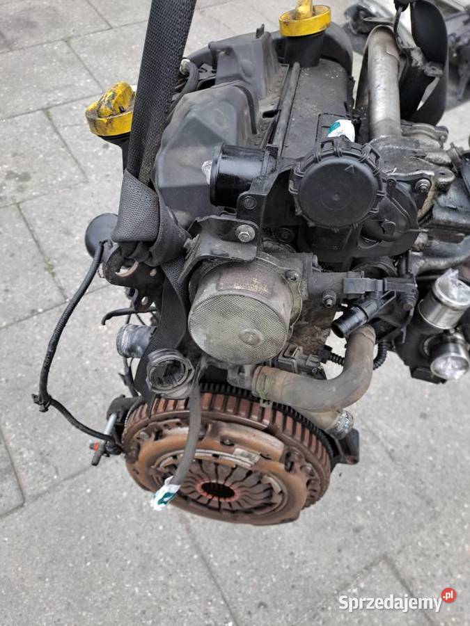 Renault Kangoo II Modus Dacia 15 DCi 68 silnik śląskie Jastrzębie-Zdrój
