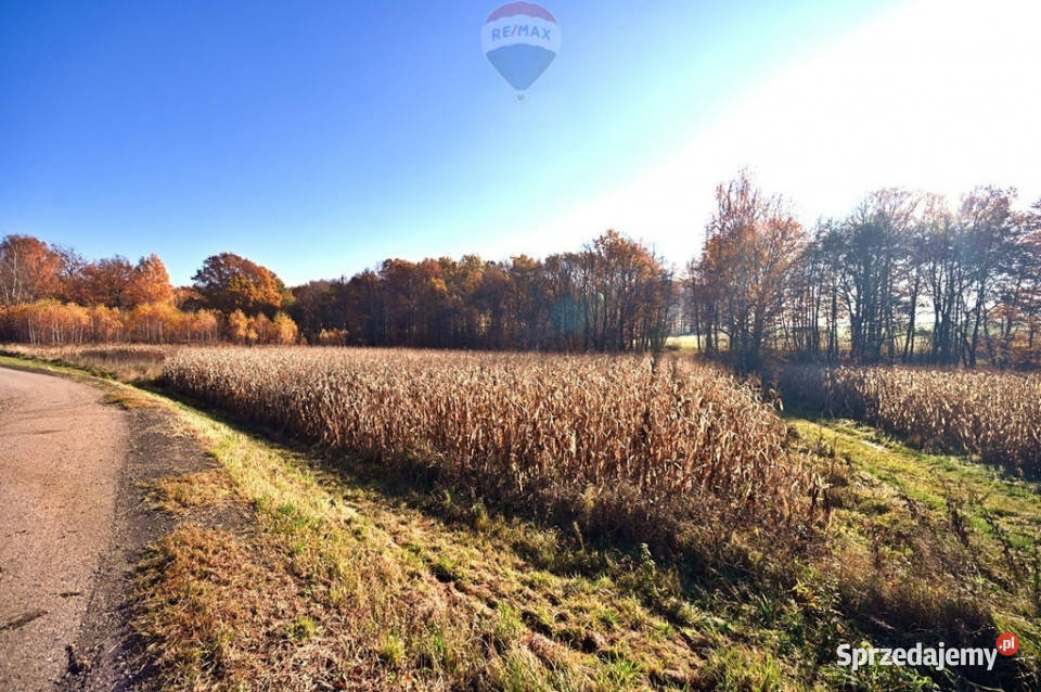 Grunt rolny do zabudowy asfalt Osiek