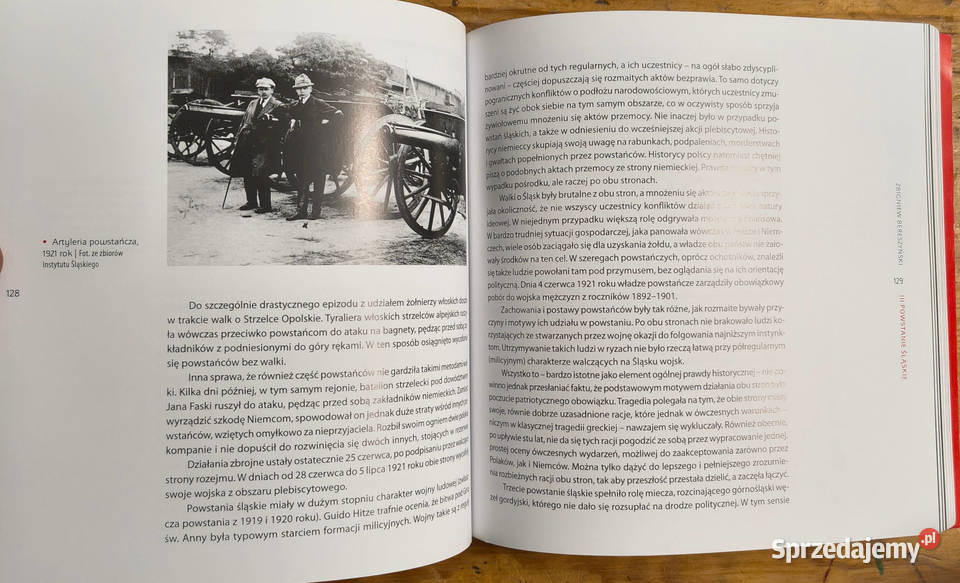 Powstania Śląskie Polityka Historia Pamięć Sosnowiec
