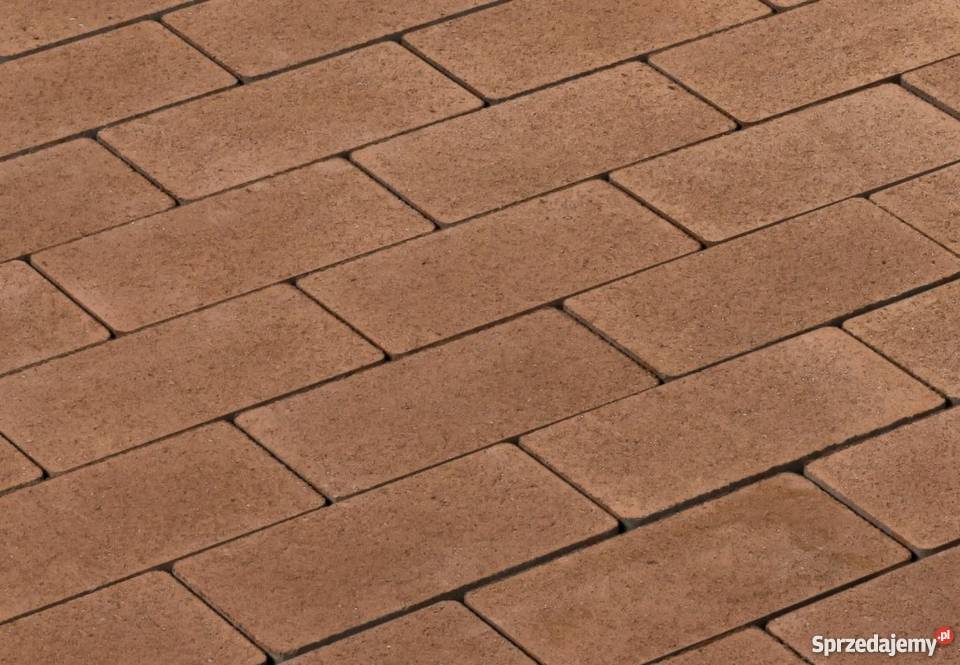 Kostka brukowa Holl Faza prostokąt kolor Kraków