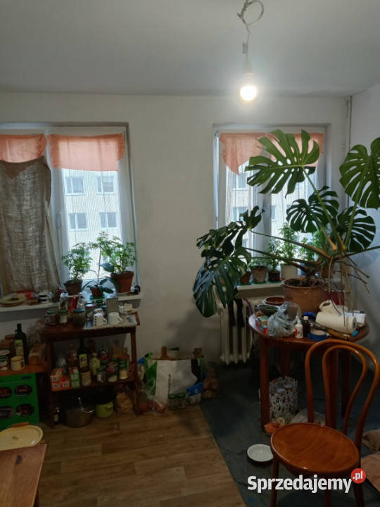 Super Okazja w Kołobrzegu Top remoncie Bez Kołobrzeg